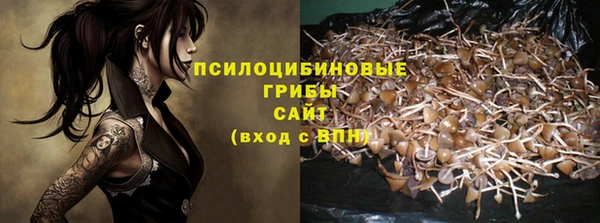 гашик Армянск