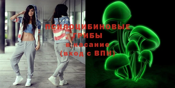 бошки Арсеньев